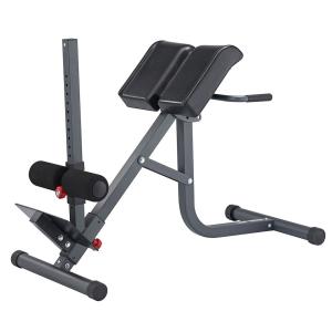 Купить Гиперэкстензия 2 в 1 (римский стул) Body Craft F670 в Пензе 