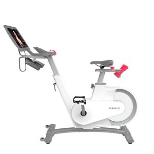 Купить Велотренажер Yesoul BV1-W PLUS в Пензе 